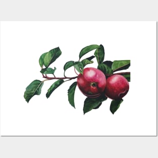 Apple Tree Posters and Art